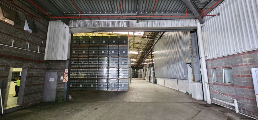 To Let commercial Property for Rent in Parow Industrial Western Cape